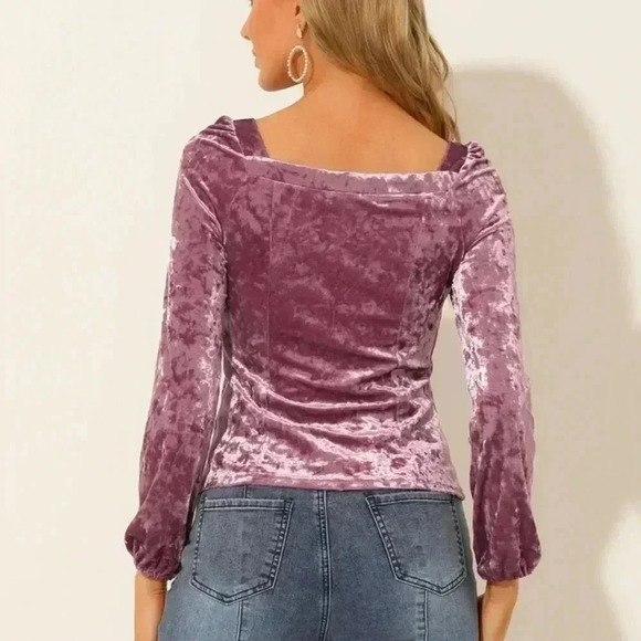 Lumiere Pink Crushed Velvet long sleeve blouse. Nwt- size small - Picture 1 of 6